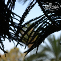 фото из отзыва ID 2698458