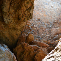 фото из отзыва ID 2698458