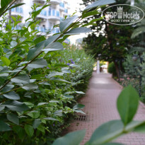 фото из отзыва ID 2698458