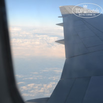 фото из отзыва ID 2698458