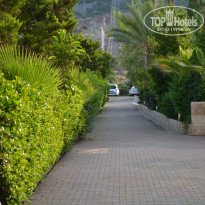 фото из отзыва ID 2698458