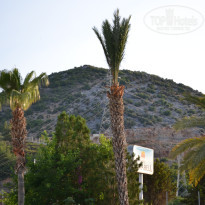 фото из отзыва ID 2698458