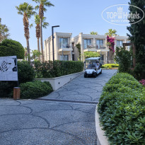 фото из отзыва ID 2698459