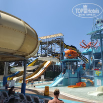 фото из отзыва ID 2698459