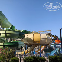 фото из отзыва ID 2698459