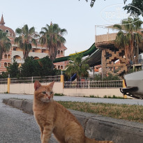 фото из отзыва ID 2698474