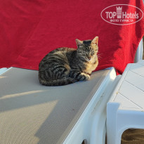 фото из отзыва ID 2698474