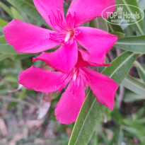 фото из отзыва ID 2698474