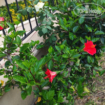 фото из отзыва ID 2698474