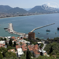 фото из отзыва ID 2698482