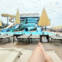 фото из отзыва ID 2698477