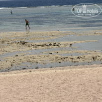 фото из отзыва ID 2698522