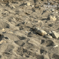 фото из отзыва ID 2698542