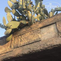 фото из отзыва ID 2698542