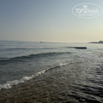 фото из отзыва ID 2698542