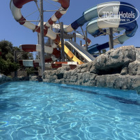 фото из отзыва ID 2698542