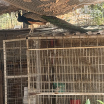 фото из отзыва ID 2698542