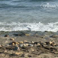 фото из отзыва ID 2698542