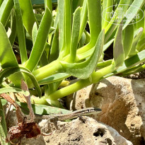 фото из отзыва ID 2698565