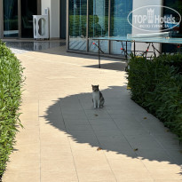 фото из отзыва ID 2698565