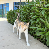 фото из отзыва ID 2698565