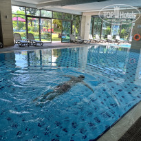 фото из отзыва ID 2698565