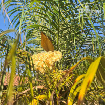 фото из отзыва ID 2698573