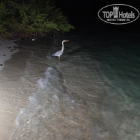 фото из отзыва ID 2698612