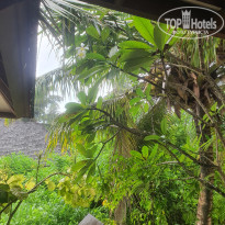 фото из отзыва ID 2698612