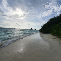 фото из отзыва ID 2698612