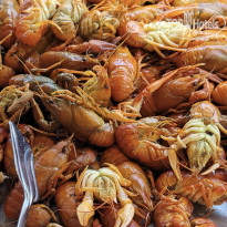 фото из отзыва ID 2698622