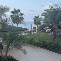 фото из отзыва ID 2698620