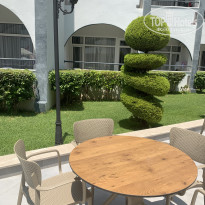 фото из отзыва ID 2698670