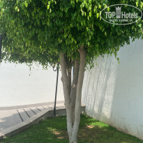 фото из отзыва ID 2698670