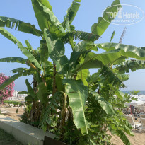 фото из отзыва ID 2698670