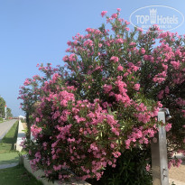 фото из отзыва ID 2698670