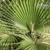 фото из отзыва ID 2698670