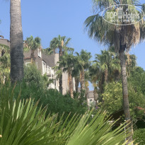 фото из отзыва ID 2698670