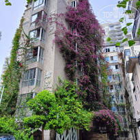 фото из отзыва ID 2698723