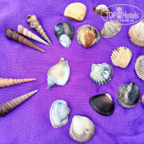 фото из отзыва ID 2698723