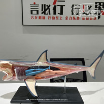 фото из отзыва ID 2698723