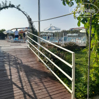 фото из отзыва ID 2698725