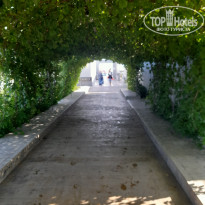 фото из отзыва ID 2698725