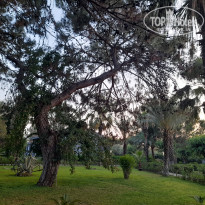 фото из отзыва ID 2698725