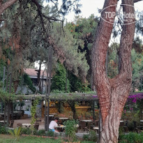 фото из отзыва ID 2698725