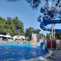 фото из отзыва ID 2698725