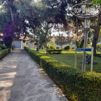 фото из отзыва ID 2698725