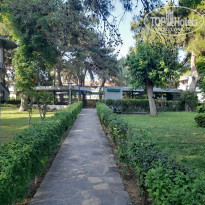 фото из отзыва ID 2698725