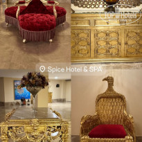 фото из отзыва ID 2698754