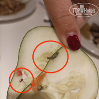 фото из отзыва ID 2698655